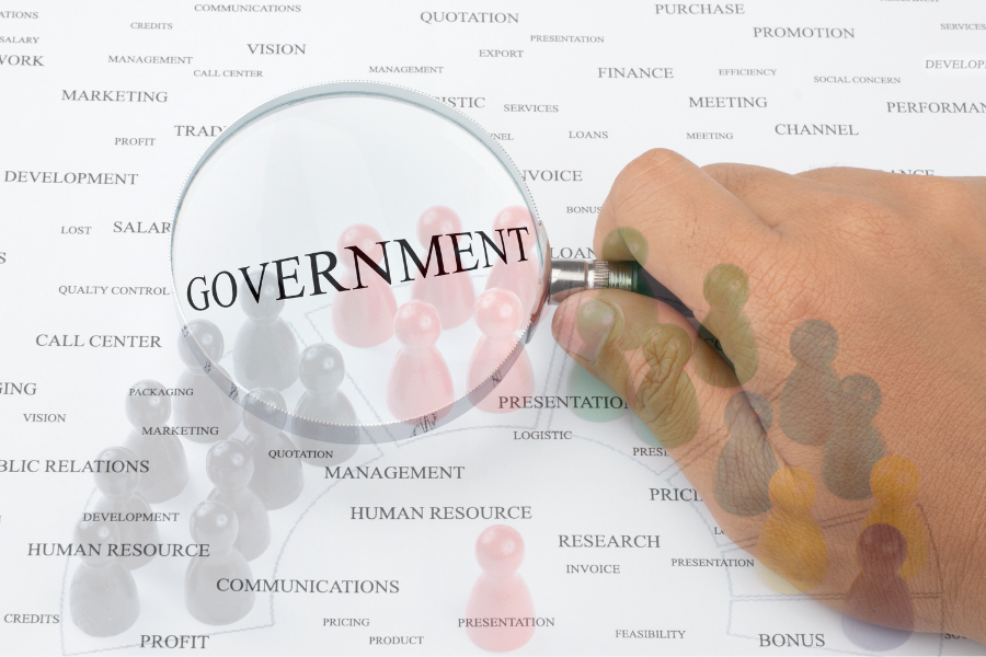 government
